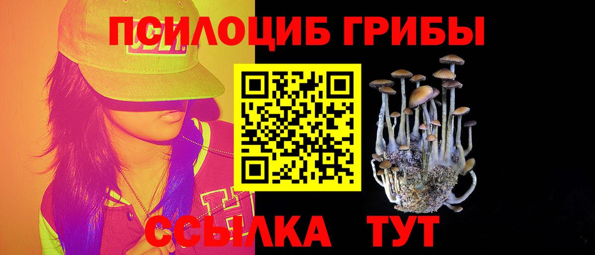 Псилоцибиновые грибы Magic Shrooms Керчь